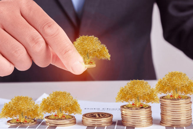 信陽(yáng)金財(cái)控股有限公司